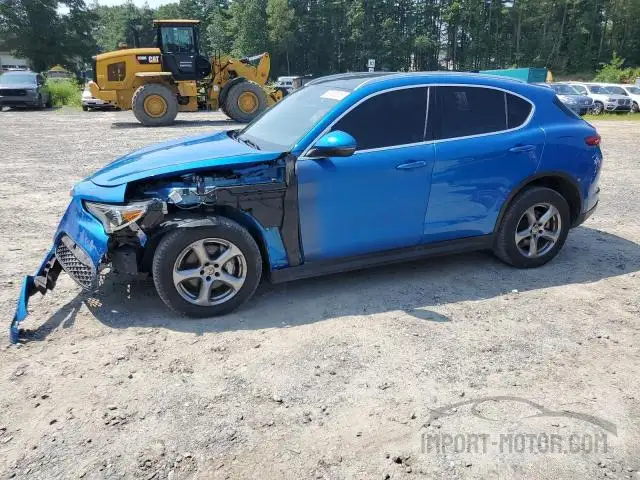 2019 Alfa Romeo Stelvio VIN: ZASPAKAN8K7C58785 Lot: 59163513