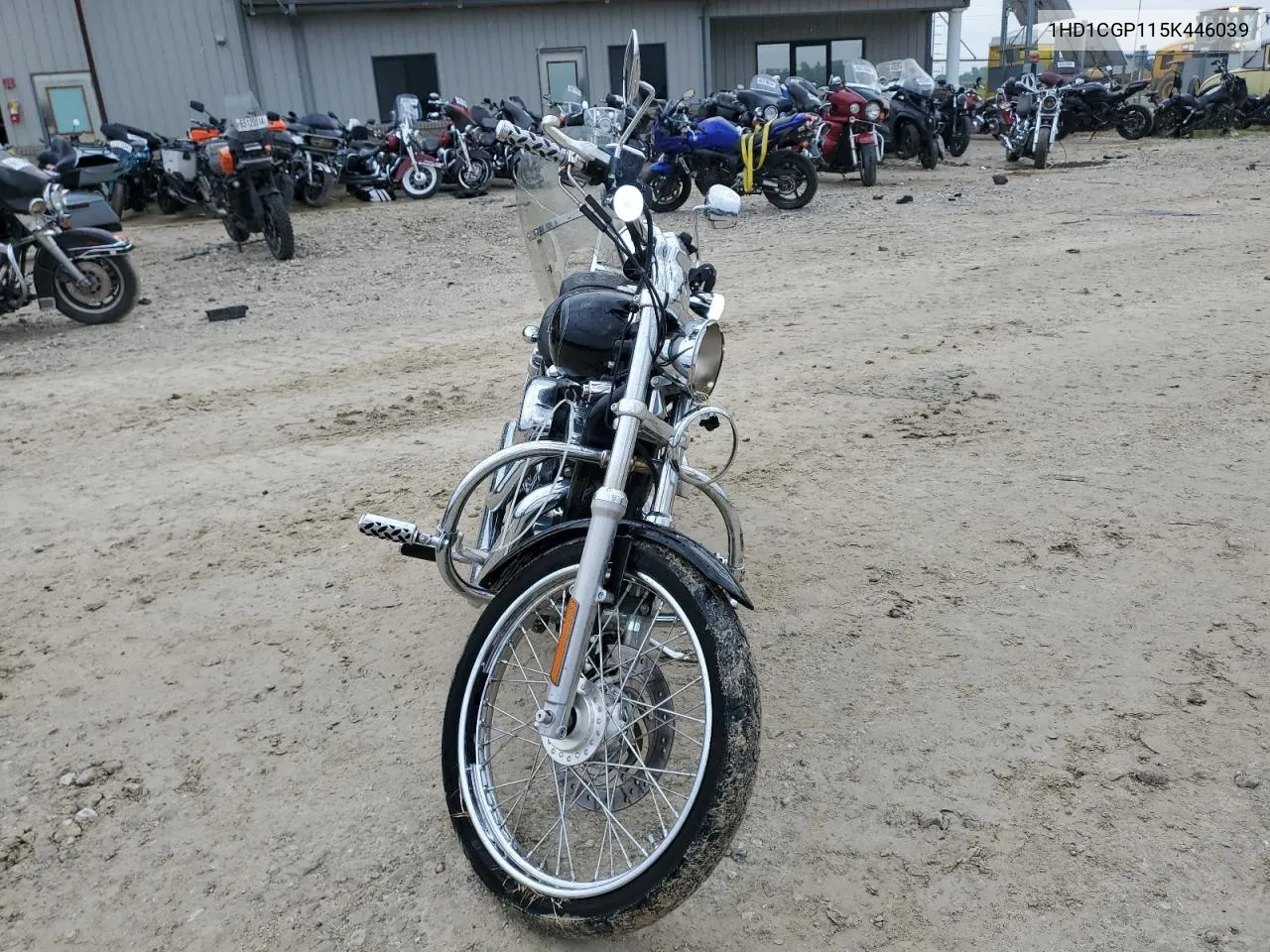 2005 Harley-Davidson Xl1200 C VIN: 1HD1CGP115K446039 Lot: 67532094