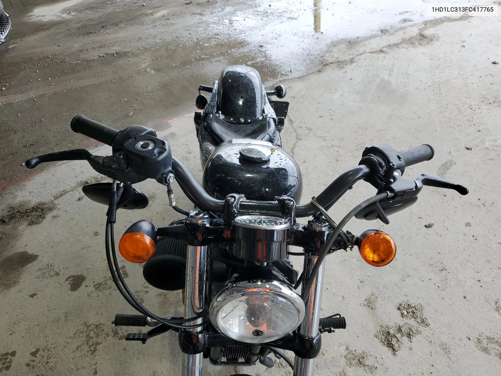 2015 Harley-Davidson Xl1200 Forty-Eight VIN: 1HD1LC313FC417765 Lot: 64833254