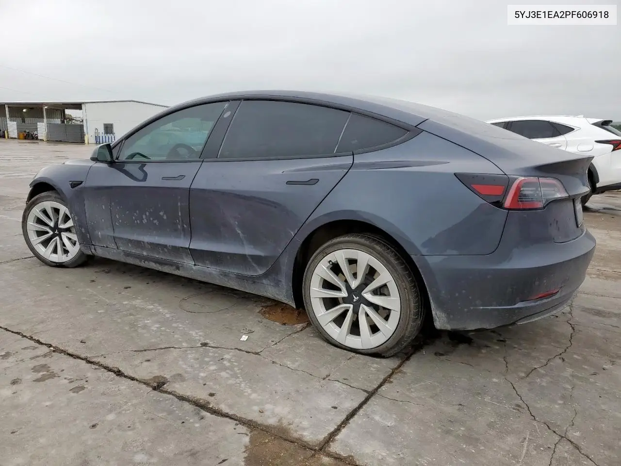 2023 Tesla Model 3 VIN: 5YJ3E1EA2PF606918 Lot: 51543485