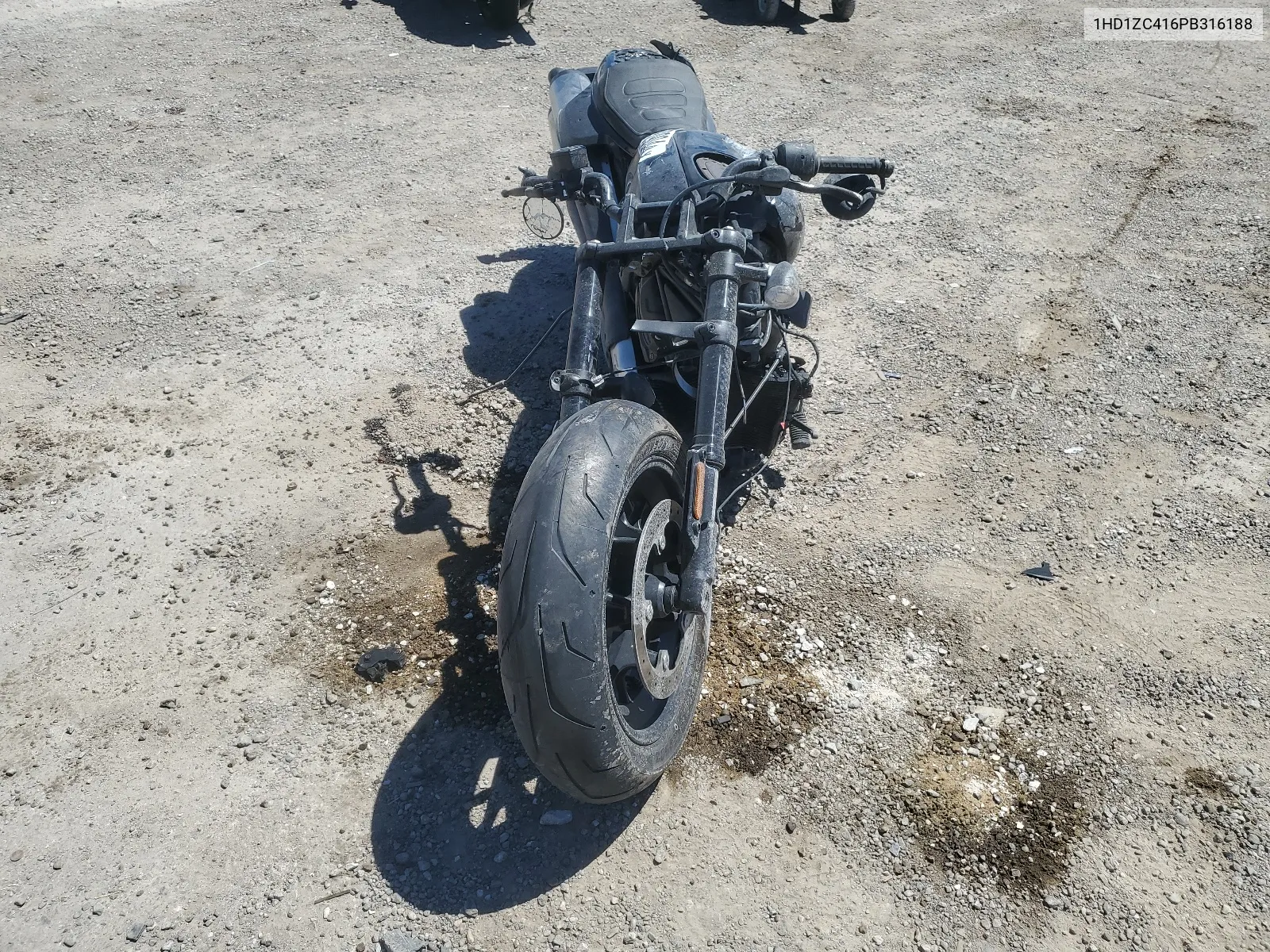 2023 Harley-Davidson Rh1250 S VIN: 1HD1ZC416PB316188 Lot: 67929044