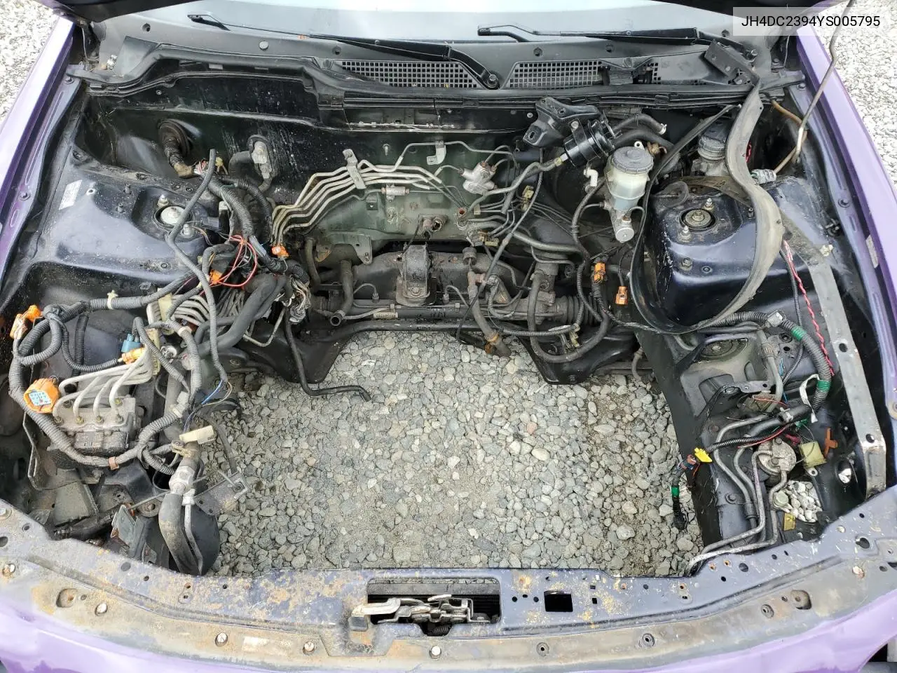 2000 Acura Integra Gsr VIN: JH4DC2394YS005795 Lot: 56994775