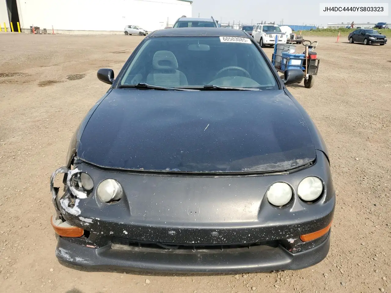 2000 Acura Integra Se VIN: JH4DC4440YS803323 Lot: 60503085
