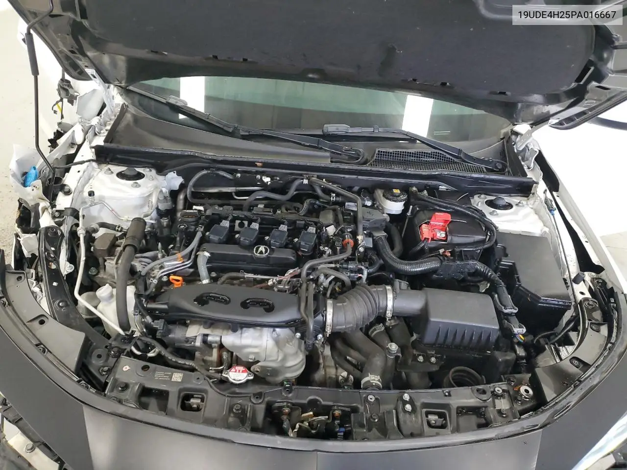 2023 Acura Integra VIN: 19UDE4H25PA016667 Lot: 55552945