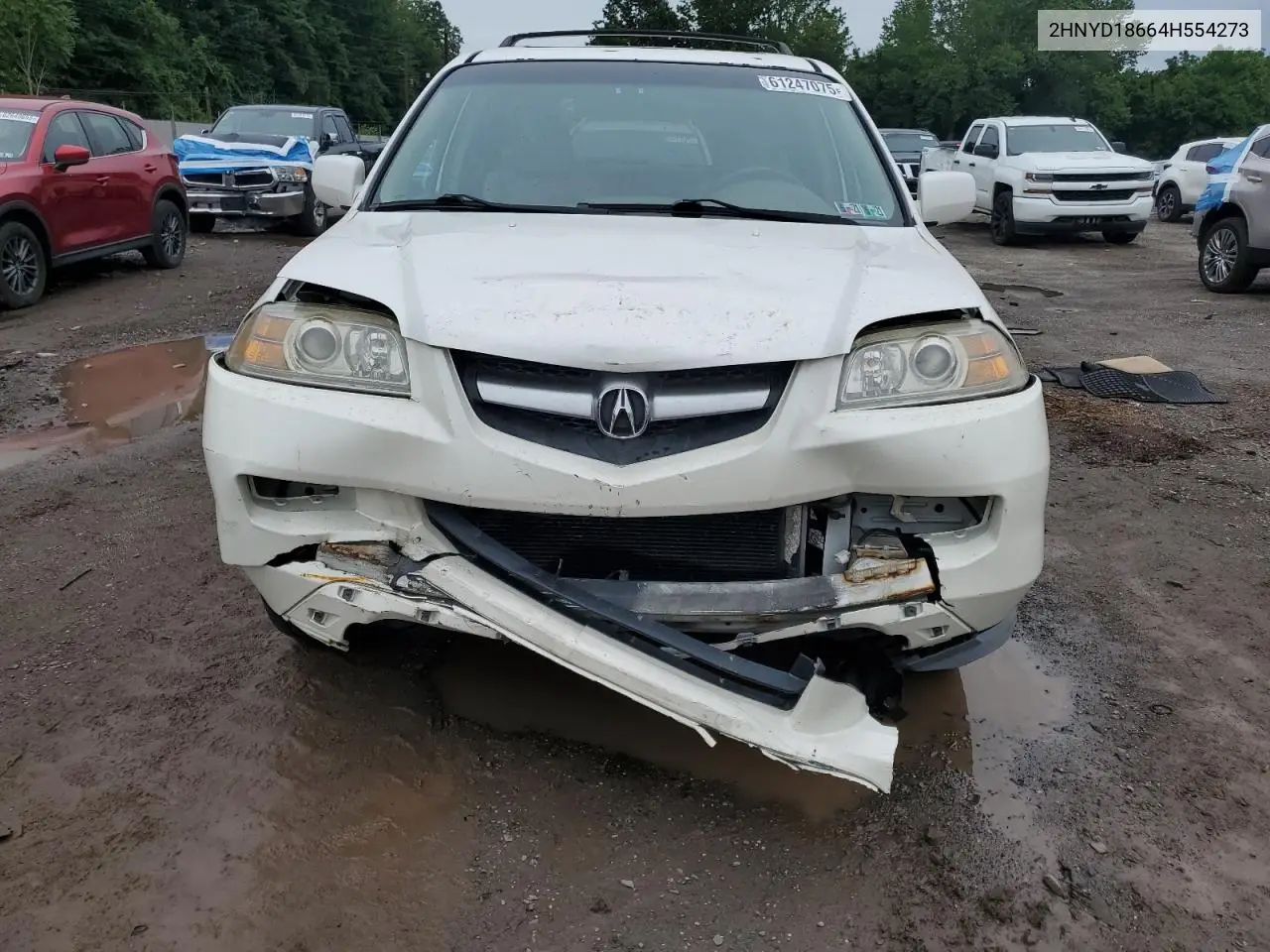 2004 Acura Mdx Touring VIN: 2HNYD18664H554273 Lot: 61247075