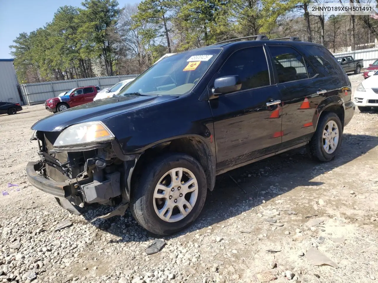 2005 Acura Mdx Touring VIN: 2HNYD189X5H501491 Lot: 48500425