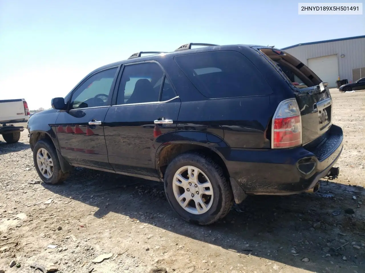 2005 Acura Mdx Touring VIN: 2HNYD189X5H501491 Lot: 48500425