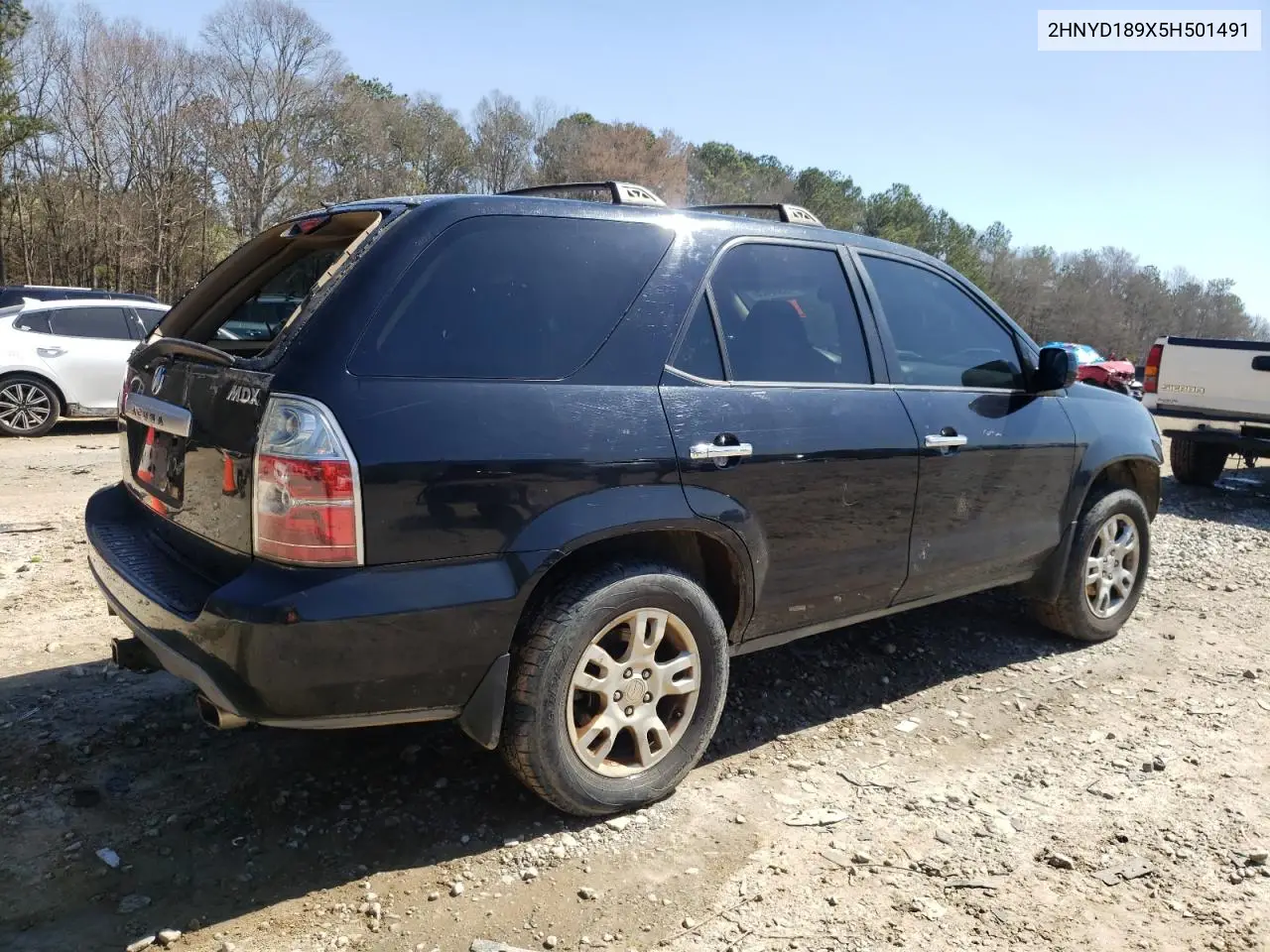 2005 Acura Mdx Touring VIN: 2HNYD189X5H501491 Lot: 48500425