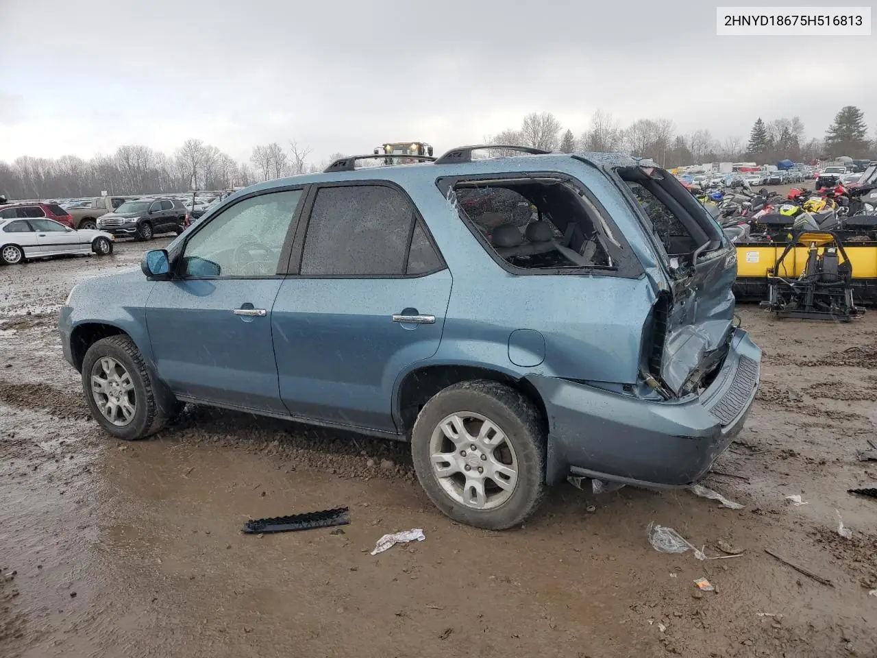 2005 Acura Mdx Touring VIN: 2HNYD18675H516813 Lot: 50210755