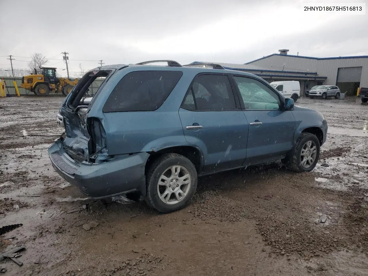 2005 Acura Mdx Touring VIN: 2HNYD18675H516813 Lot: 50210755