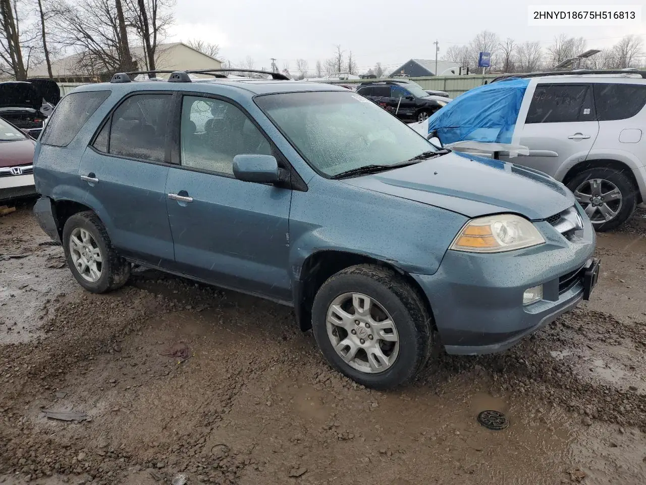 2005 Acura Mdx Touring VIN: 2HNYD18675H516813 Lot: 50210755