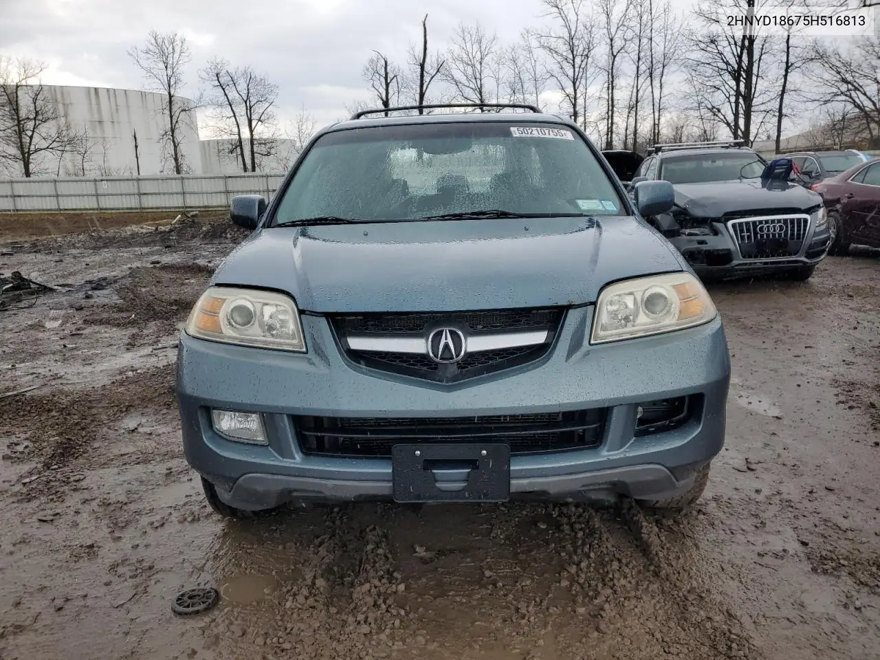 2005 Acura Mdx Touring VIN: 2HNYD18675H516813 Lot: 50210755