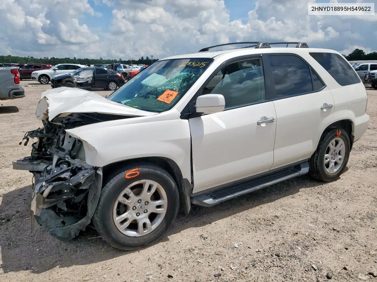 2005 Acura Mdx Touring VIN: 2HNYD18895H549622 Lot: 62836115