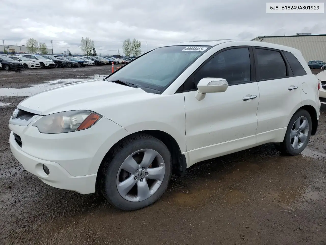 2009 Acura Rdx VIN: 5J8TB18249A801929 Lot: 56683455