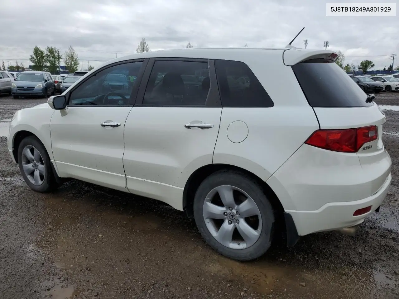 2009 Acura Rdx VIN: 5J8TB18249A801929 Lot: 56683455