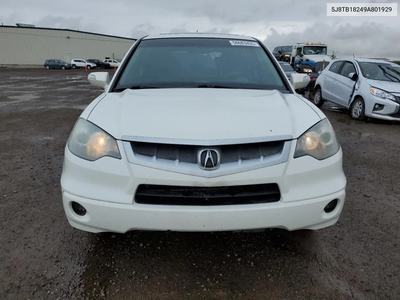 2009 Acura Rdx VIN: 5J8TB18249A801929 Lot: 56683455