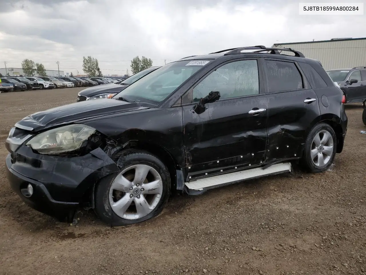 2009 Acura Rdx Technology VIN: 5J8TB18599A800284 Lot: 61391865