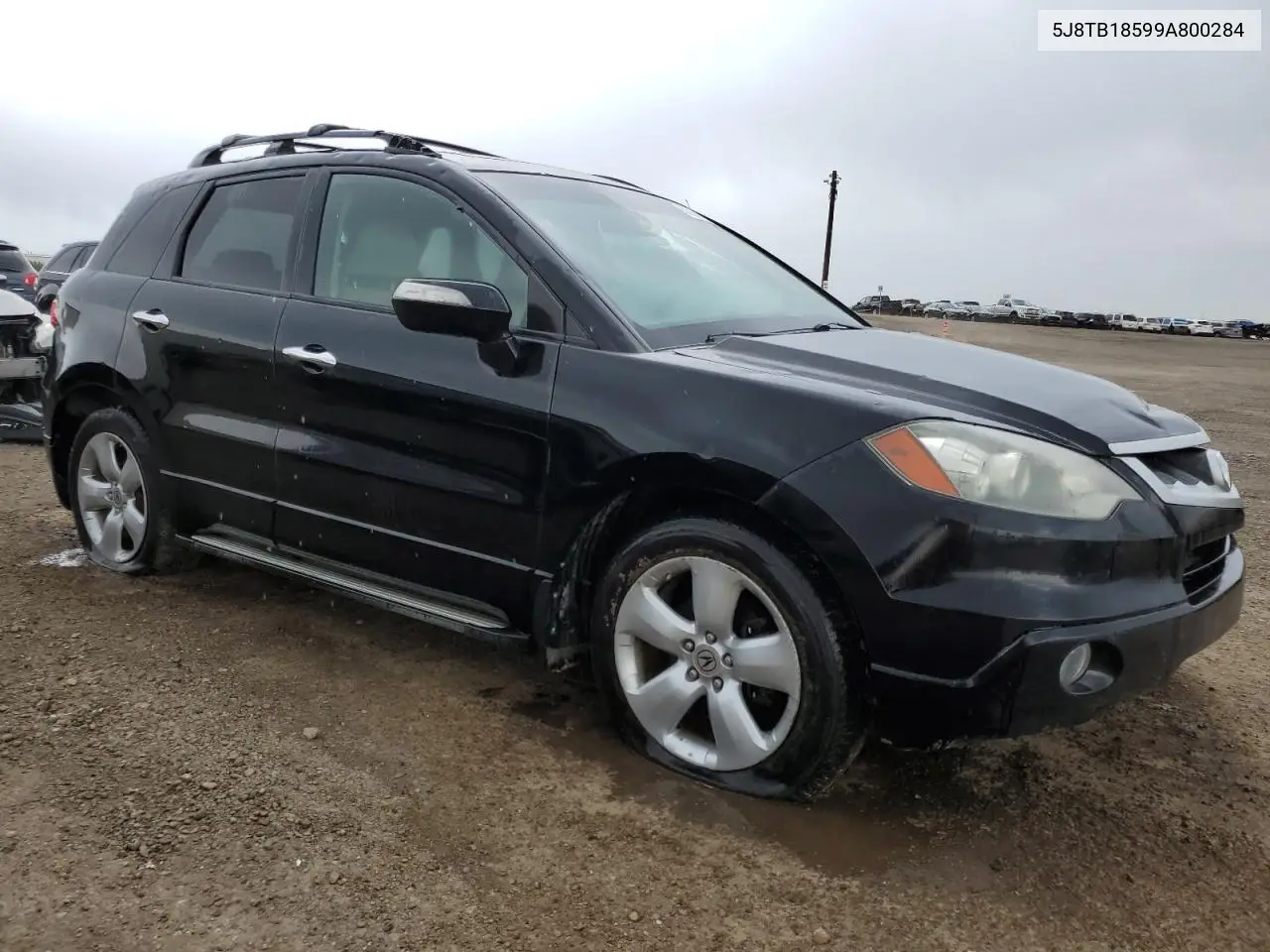 2009 Acura Rdx Technology VIN: 5J8TB18599A800284 Lot: 61391865