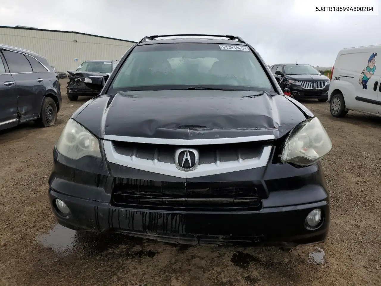 2009 Acura Rdx Technology VIN: 5J8TB18599A800284 Lot: 61391865