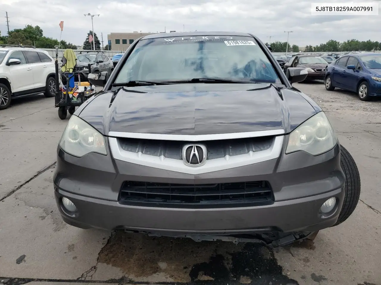2009 Acura Rdx VIN: 5J8TB18259A007991 Lot: 61981625