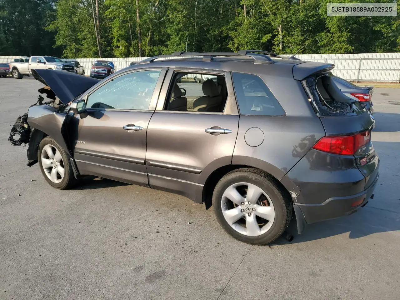 2009 Acura Rdx Technology VIN: 5J8TB18589A002925 Lot: 62224635
