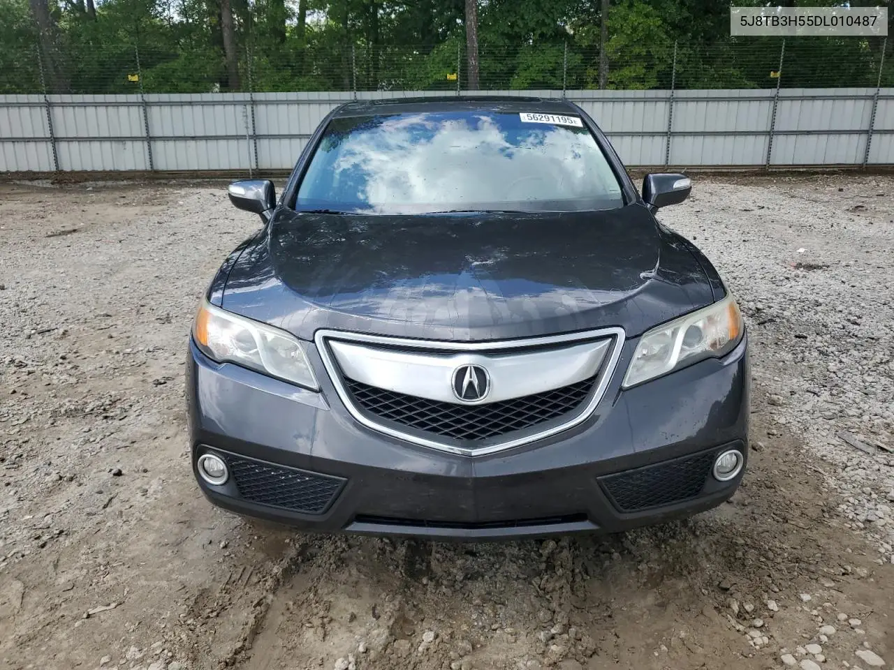2013 Acura Rdx Technology VIN: 5J8TB3H55DL010487 Lot: 56291195