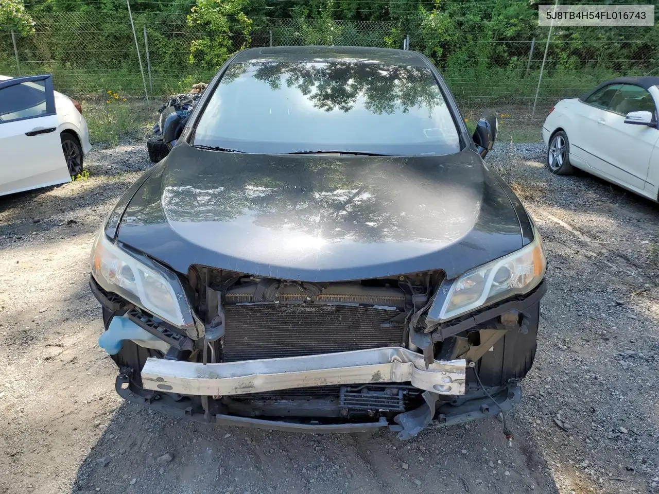 2015 Acura Rdx Technology VIN: 5J8TB4H54FL016743 Lot: 61959155