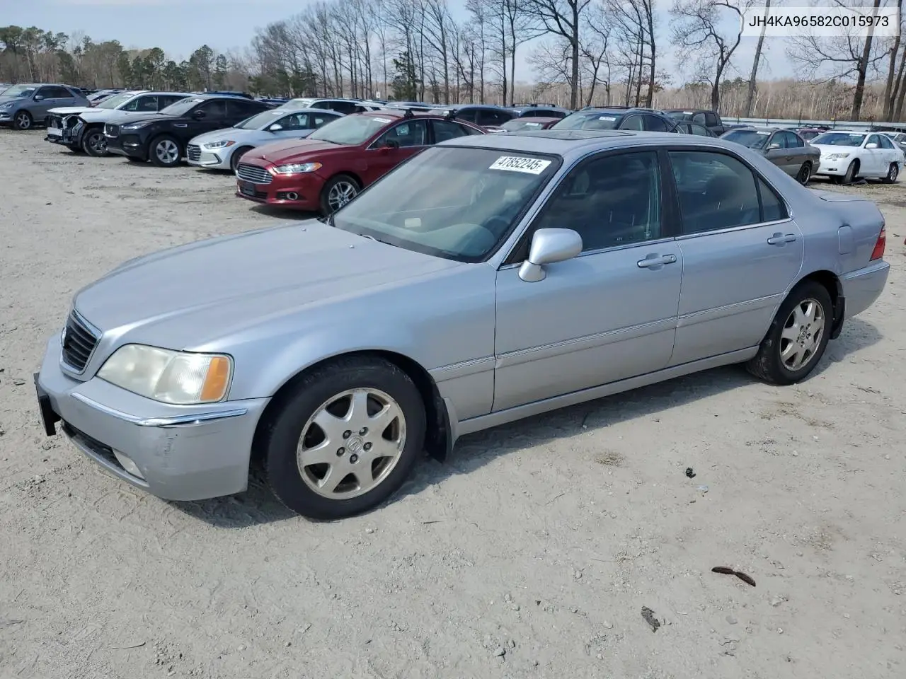 2002 Acura 3.5Rl VIN: JH4KA96582C015973 Lot: 47852245