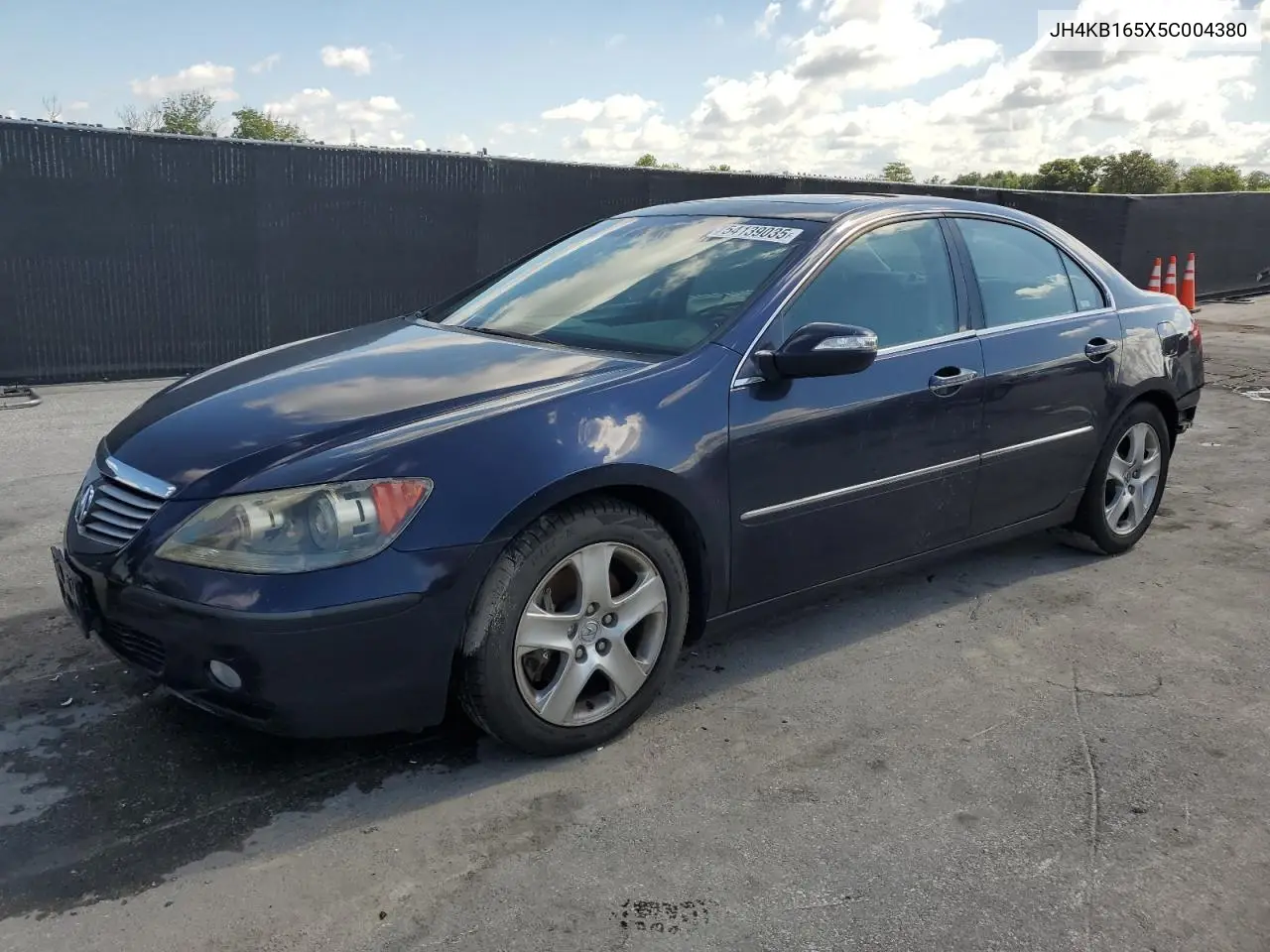 2005 Acura Rl VIN: JH4KB165X5C004380 Lot: 54139035