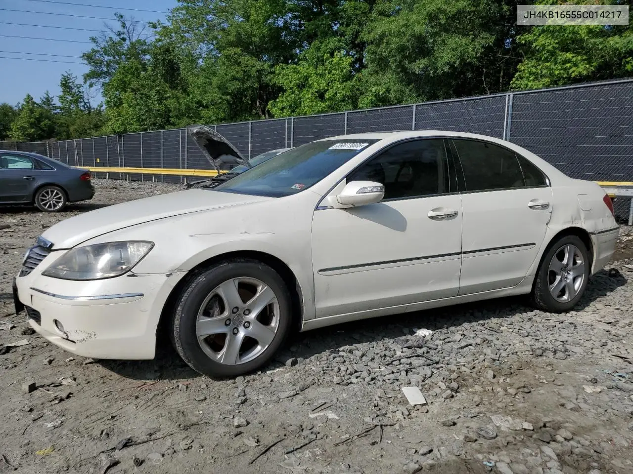 2005 Acura Rl VIN: JH4KB16555C014217 Lot: 59877005