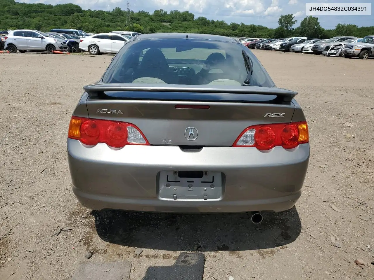 2002 Acura Rsx VIN: JH4DC54832C034391 Lot: 61679045