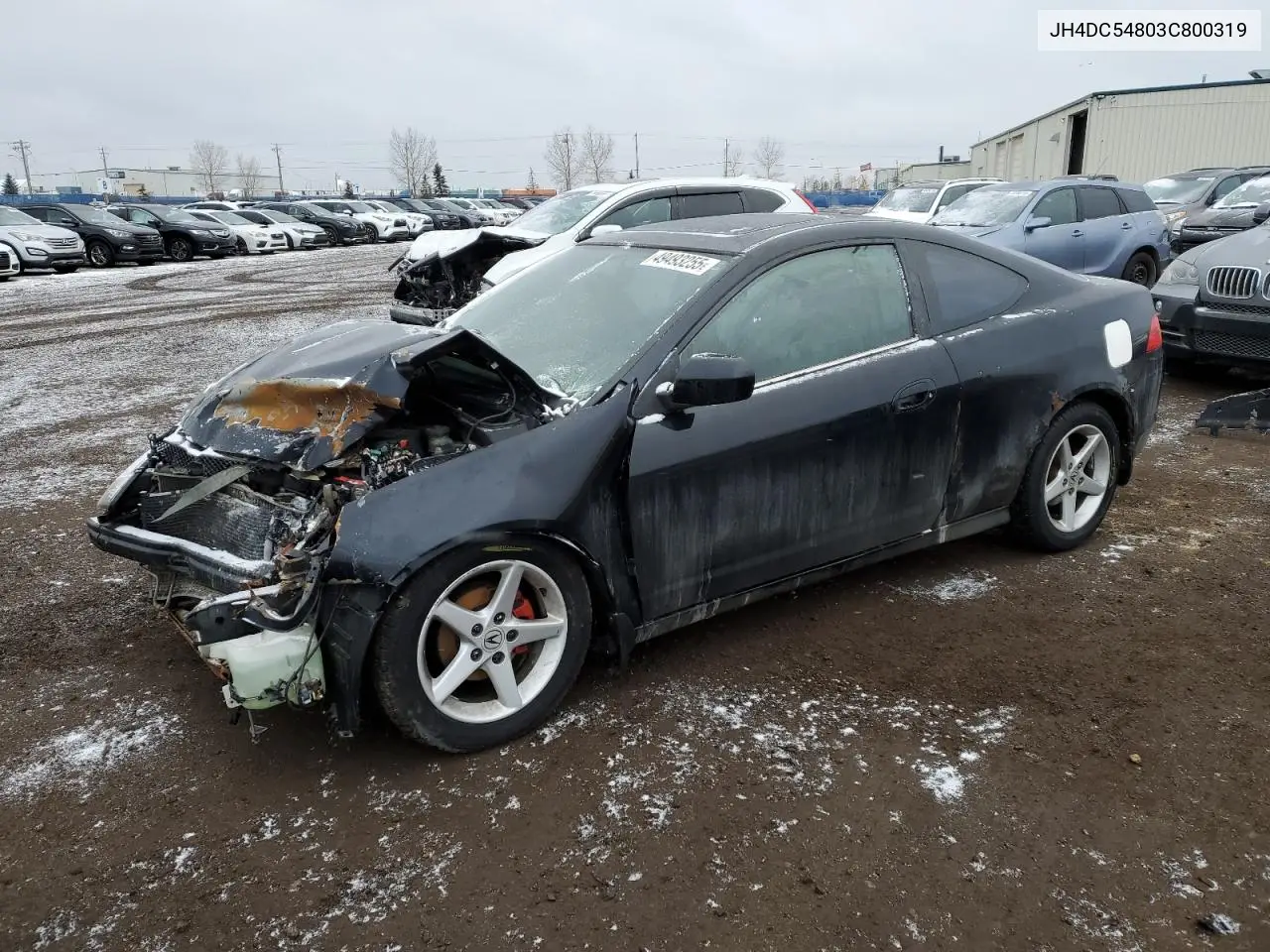 2003 Acura Rsx VIN: JH4DC54803C800319 Lot: 49493255