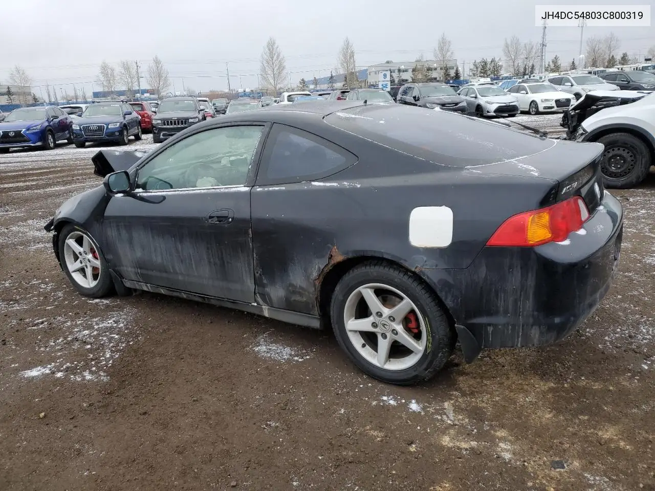 2003 Acura Rsx VIN: JH4DC54803C800319 Lot: 49493255