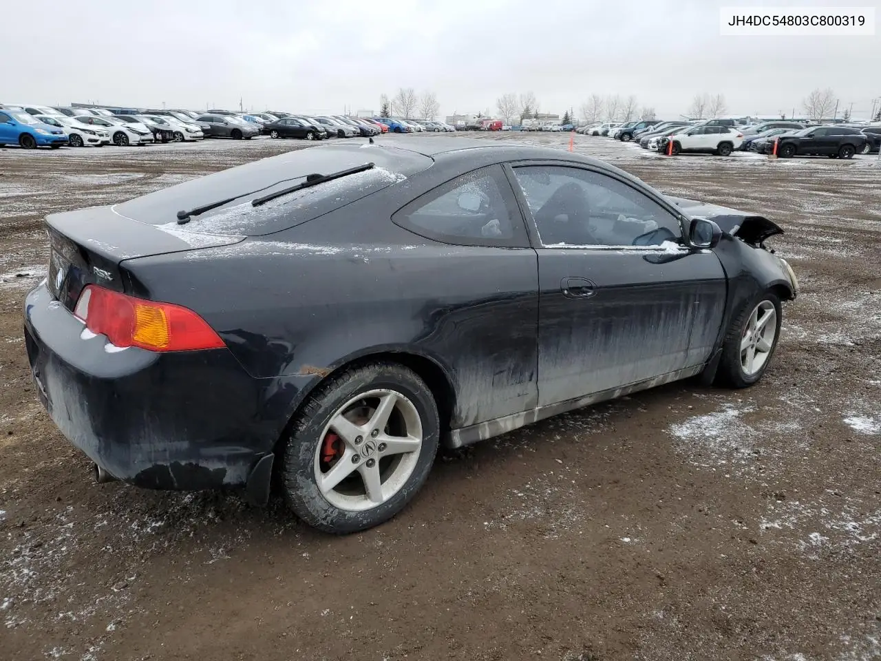 2003 Acura Rsx VIN: JH4DC54803C800319 Lot: 49493255