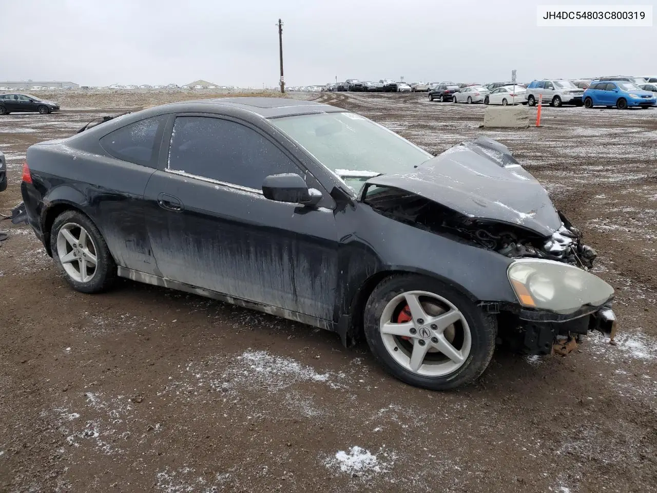 2003 Acura Rsx VIN: JH4DC54803C800319 Lot: 49493255