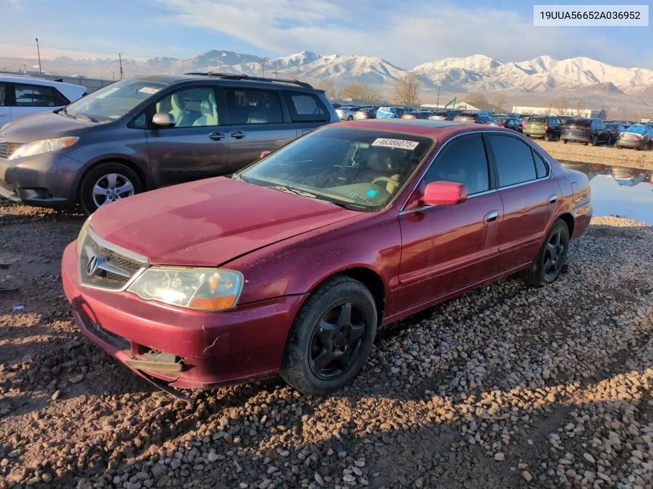 2002 Acura 3.2Tl VIN: 19UUA56652A036952 Lot: 46386075