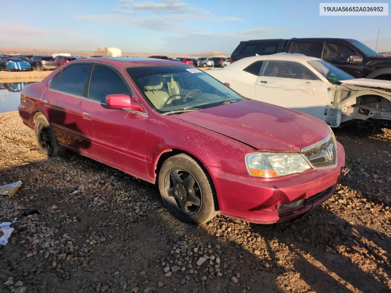 2002 Acura 3.2Tl VIN: 19UUA56652A036952 Lot: 46386075