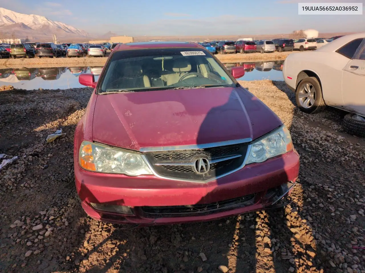 2002 Acura 3.2Tl VIN: 19UUA56652A036952 Lot: 46386075