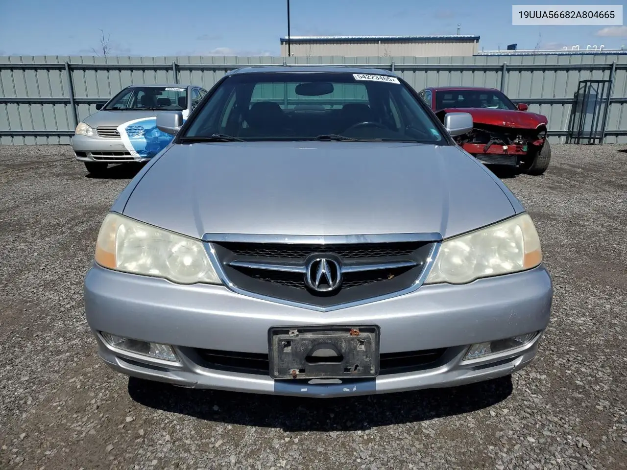 2002 Acura 3.2Tl VIN: 19UUA56682A804665 Lot: 54223465