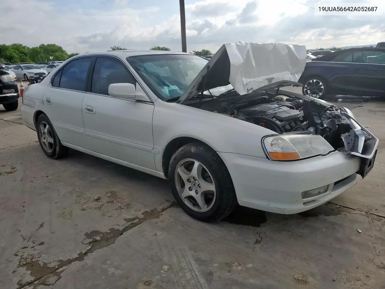 2002 Acura 3.2Tl VIN: 19UUA56642A052687 Lot: 56128785