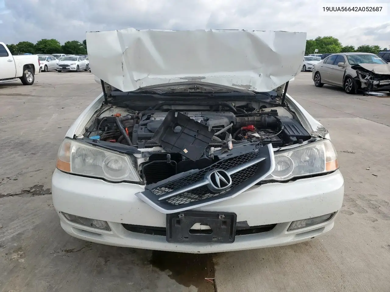 2002 Acura 3.2Tl VIN: 19UUA56642A052687 Lot: 56128785