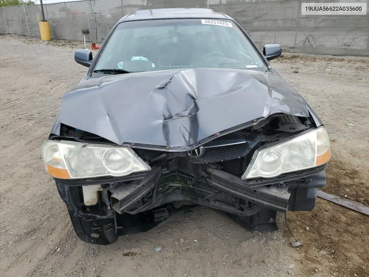 2002 Acura 3.2Tl VIN: 19UUA56622A035600 Lot: 56251425