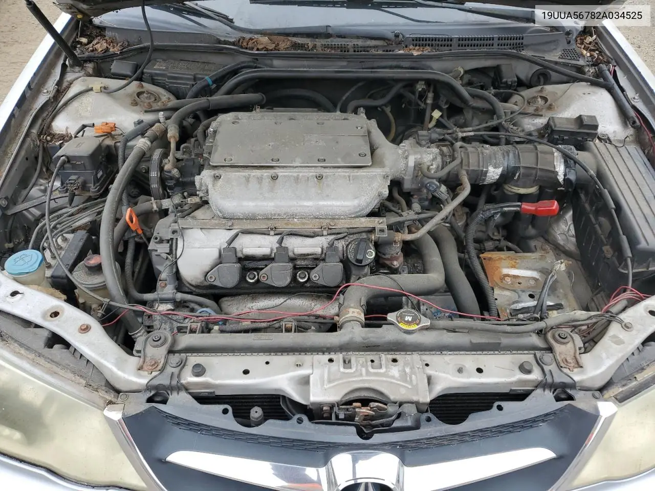2002 Acura 3.2Tl VIN: 19UUA56782A034525 Lot: 62658955