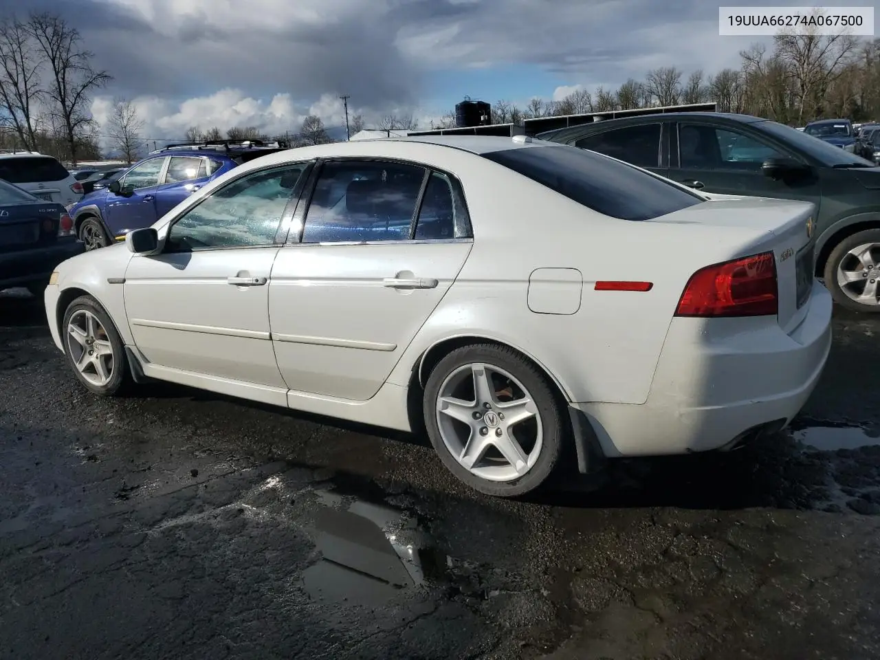 2004 Acura Tl VIN: 19UUA66274A067500 Lot: 49515565