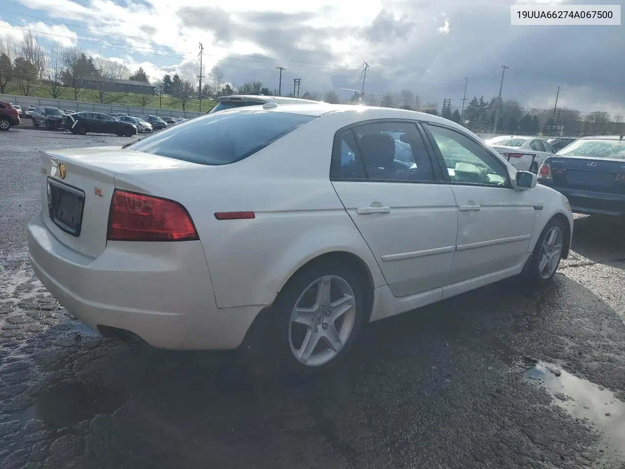 2004 Acura Tl VIN: 19UUA66274A067500 Lot: 49515565