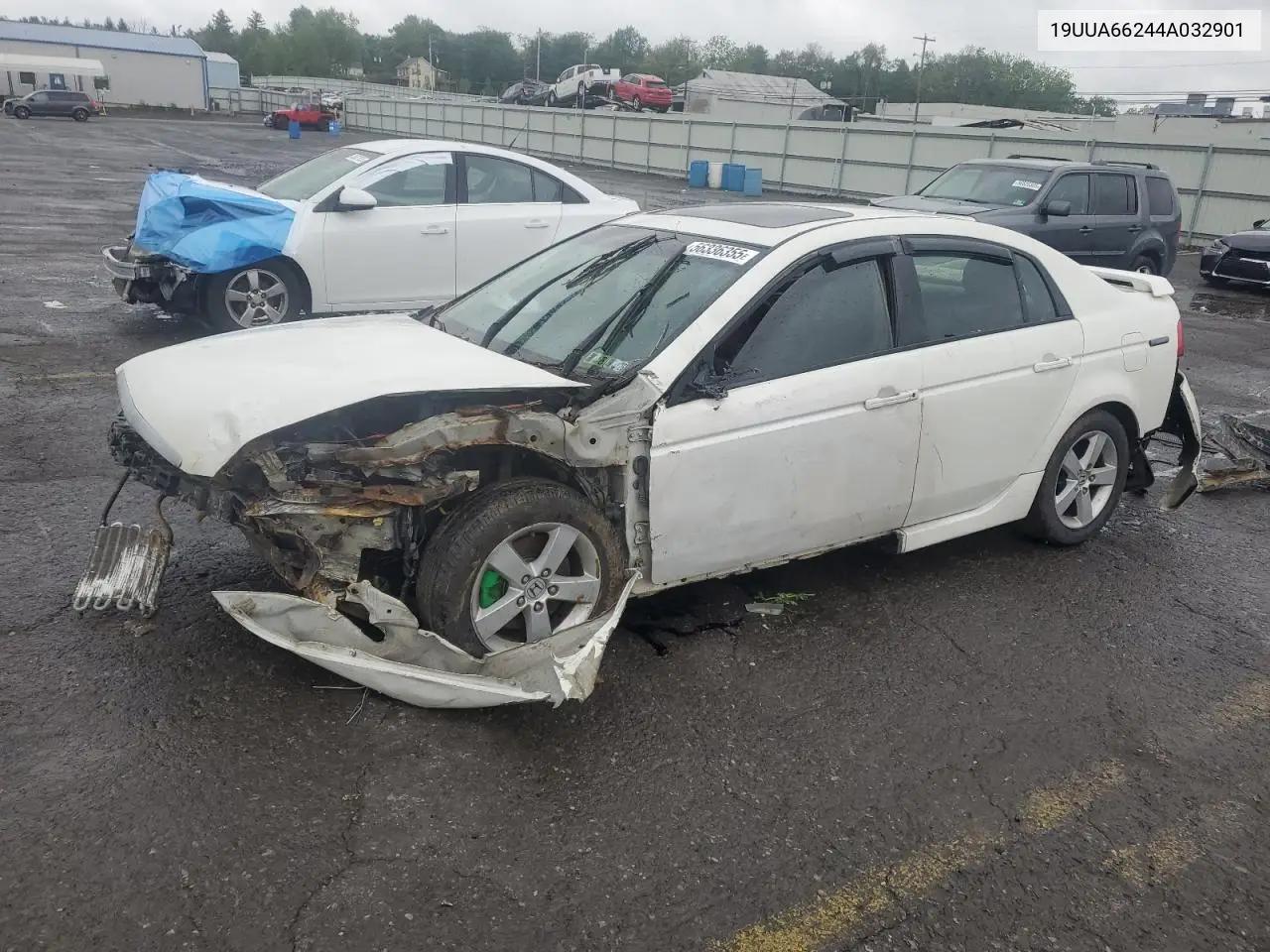2004 Acura Tl VIN: 19UUA66244A032901 Lot: 56336355