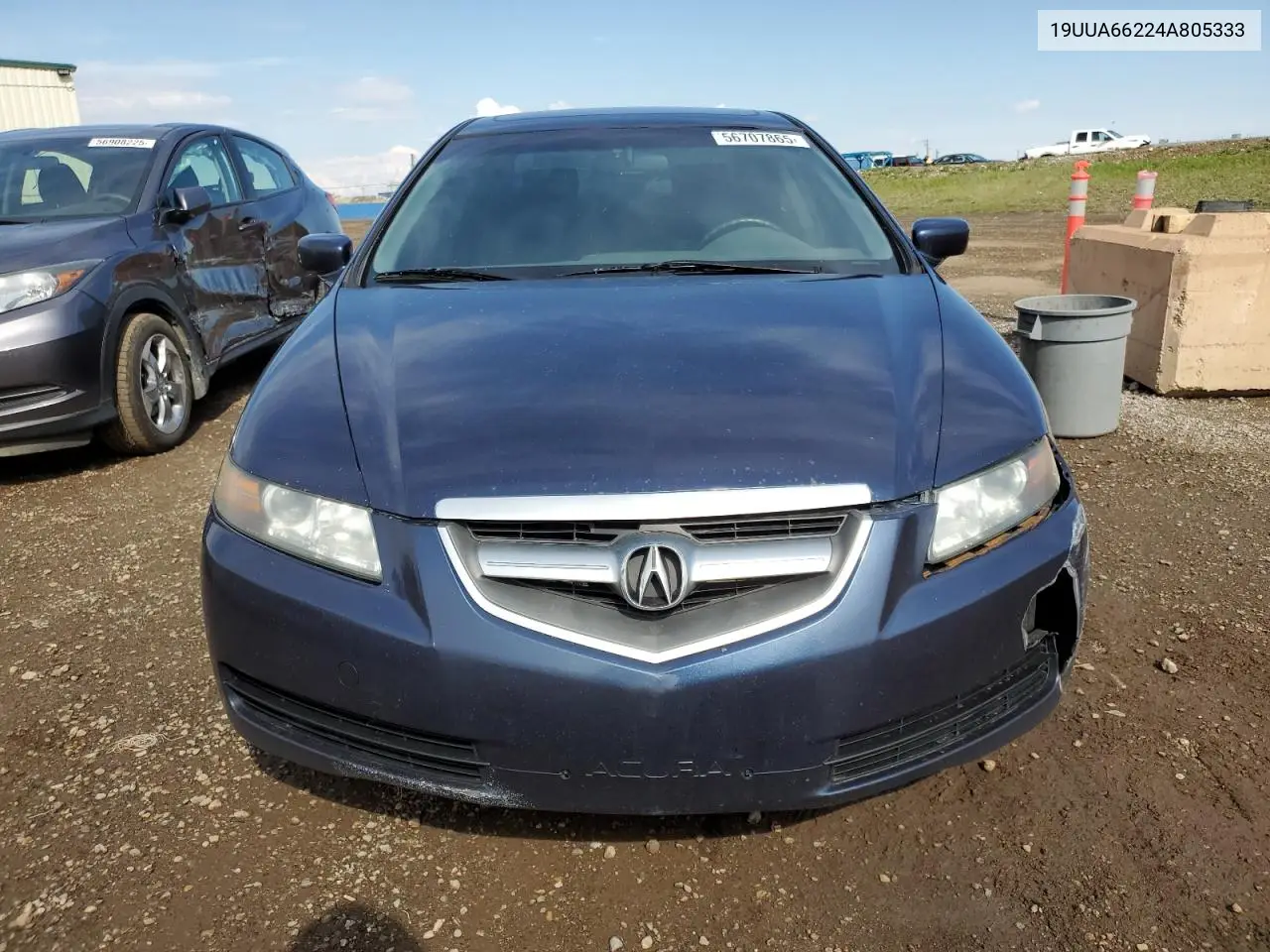 2004 Acura Tl VIN: 19UUA66224A805333 Lot: 56707865