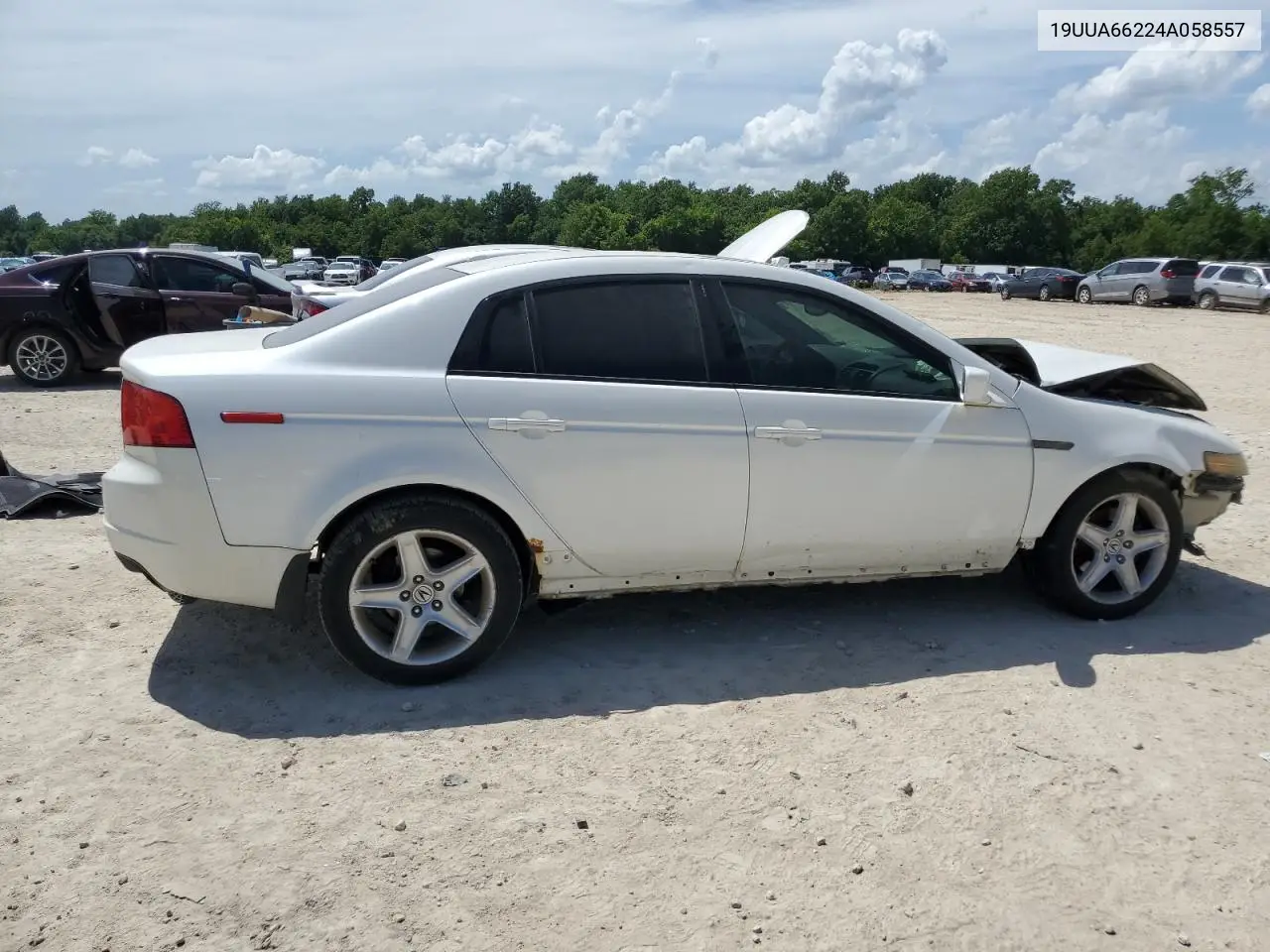 2004 Acura Tl VIN: 19UUA66224A058557 Lot: 62077945
