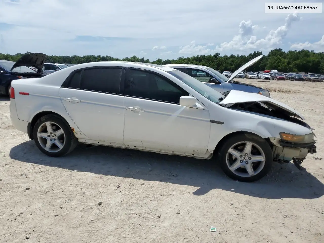 2004 Acura Tl VIN: 19UUA66224A058557 Lot: 62077945