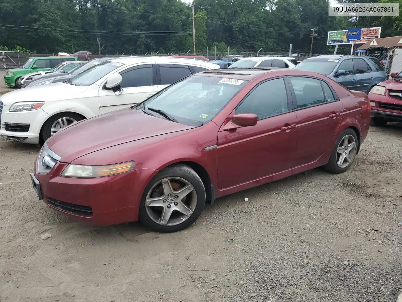 2004 Acura Tl VIN: 19UUA66264A067861 Lot: 62689785